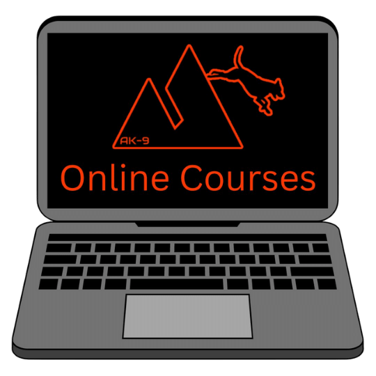 What is The Mission Of Online Courses Club?