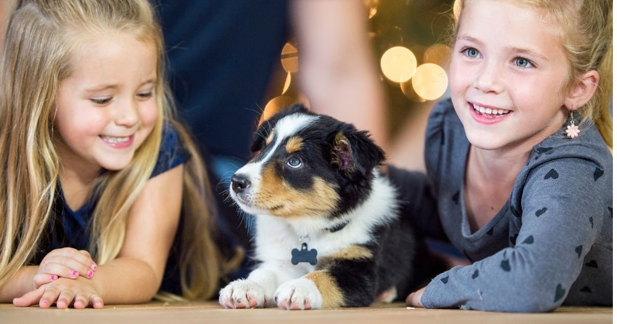 Parents teaching children how to gently welcome a new puppy into the family at home.